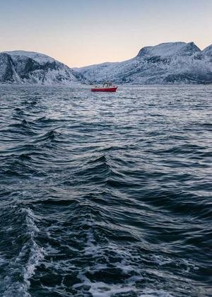 Compléments alimentaires
